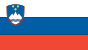 Slovenia flag